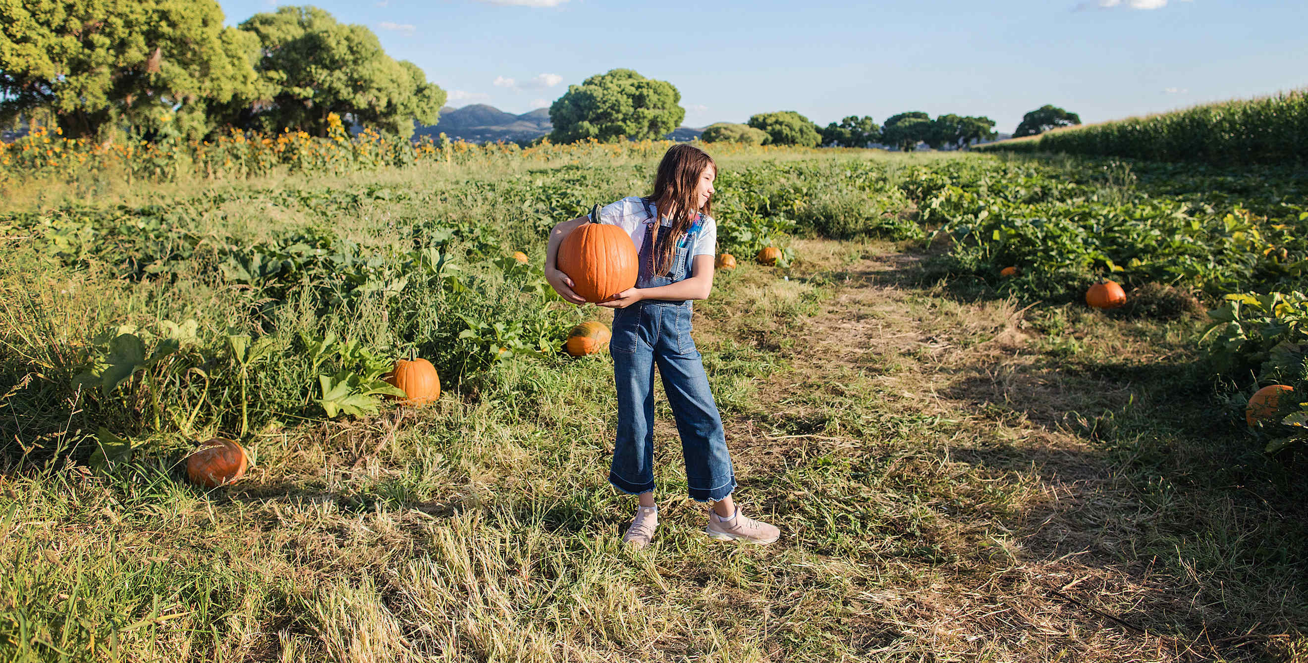 A girl holds a pumpkin she picked herself in the field at Mortimer Farms in Arizona.