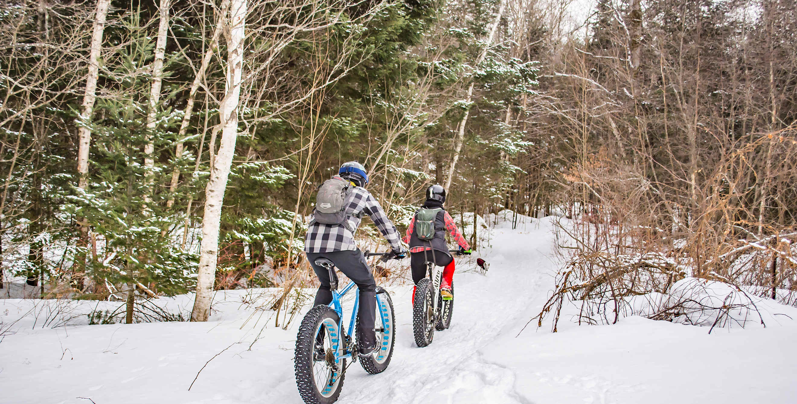 A couple ride up a snow-covered forest trail on fat bikes.