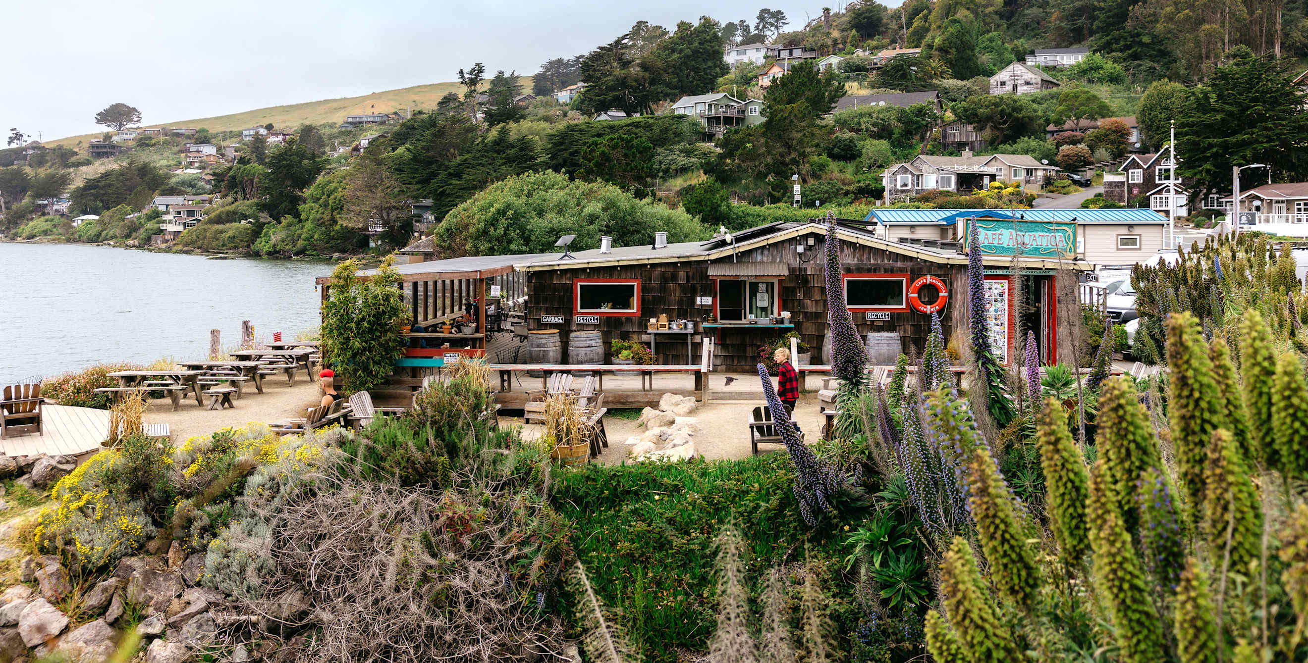 a cafe on the coast with green plants in the foreground