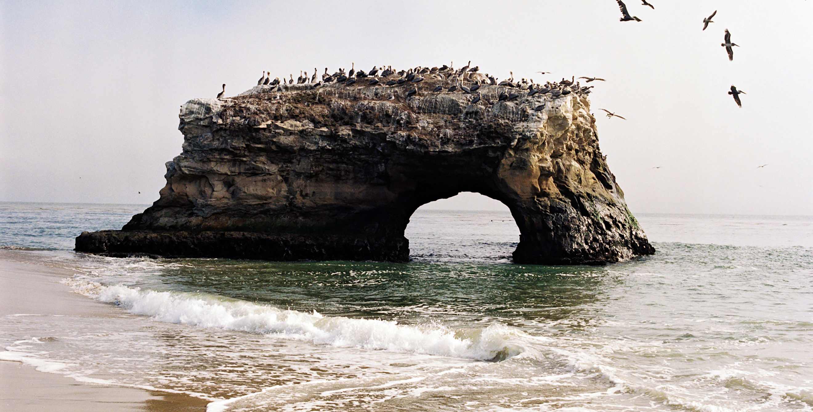 Rocks form arches along the coast at Natural Bridges State Beach, CA.
