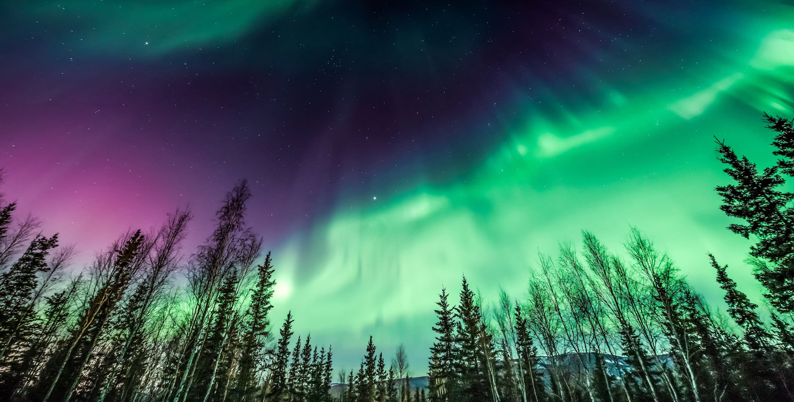 green and purple lights are seen in the sky above Alaska