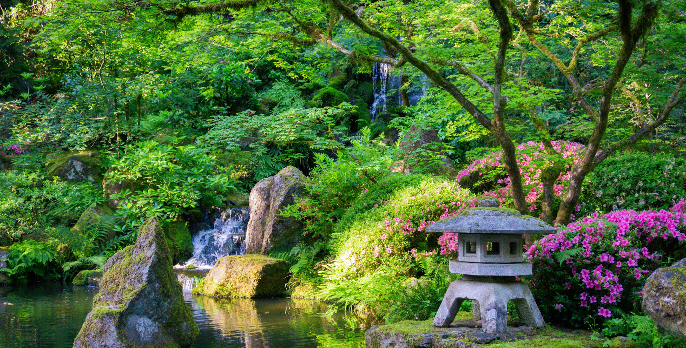 a lush green Japanese style garden next to water