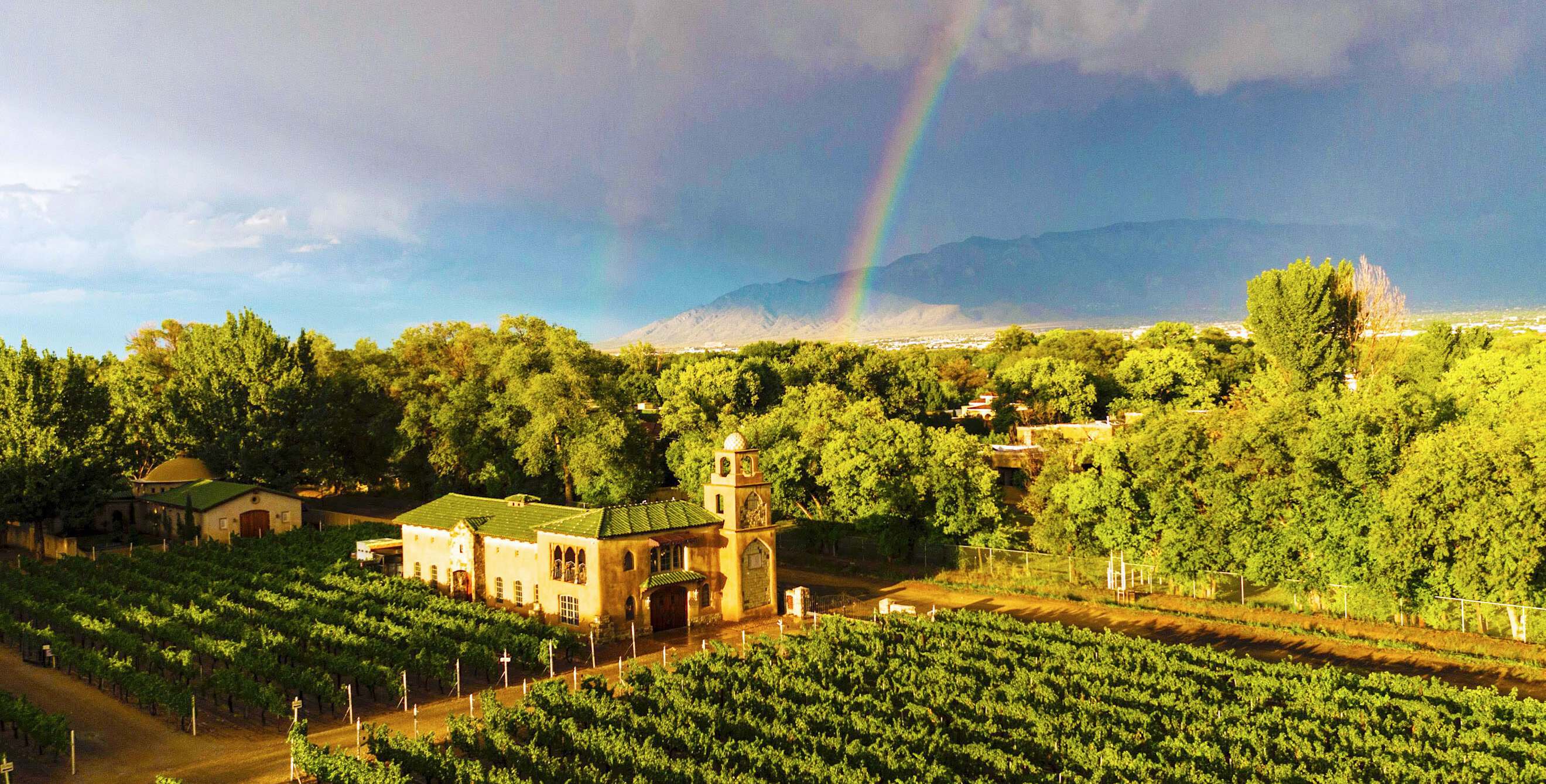 a rainbow over a vineyard and winery