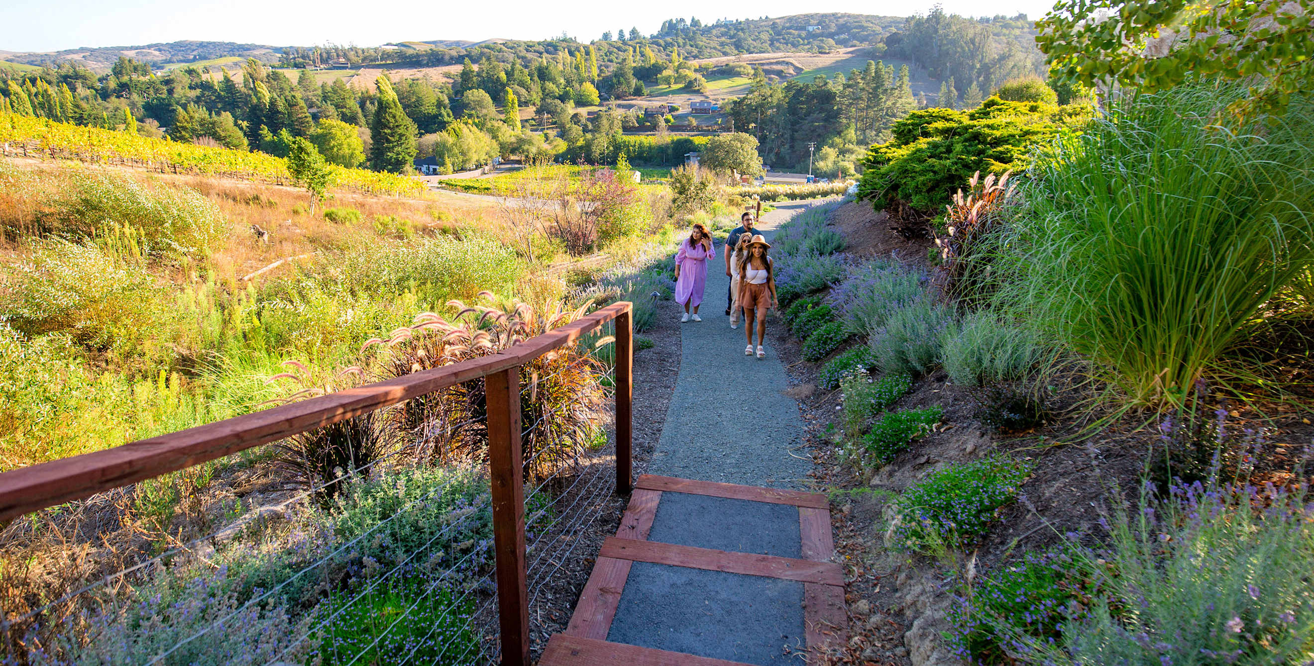 Naidu Wines owner Raghni Naidu strolls through the Sonoma Coast estate.