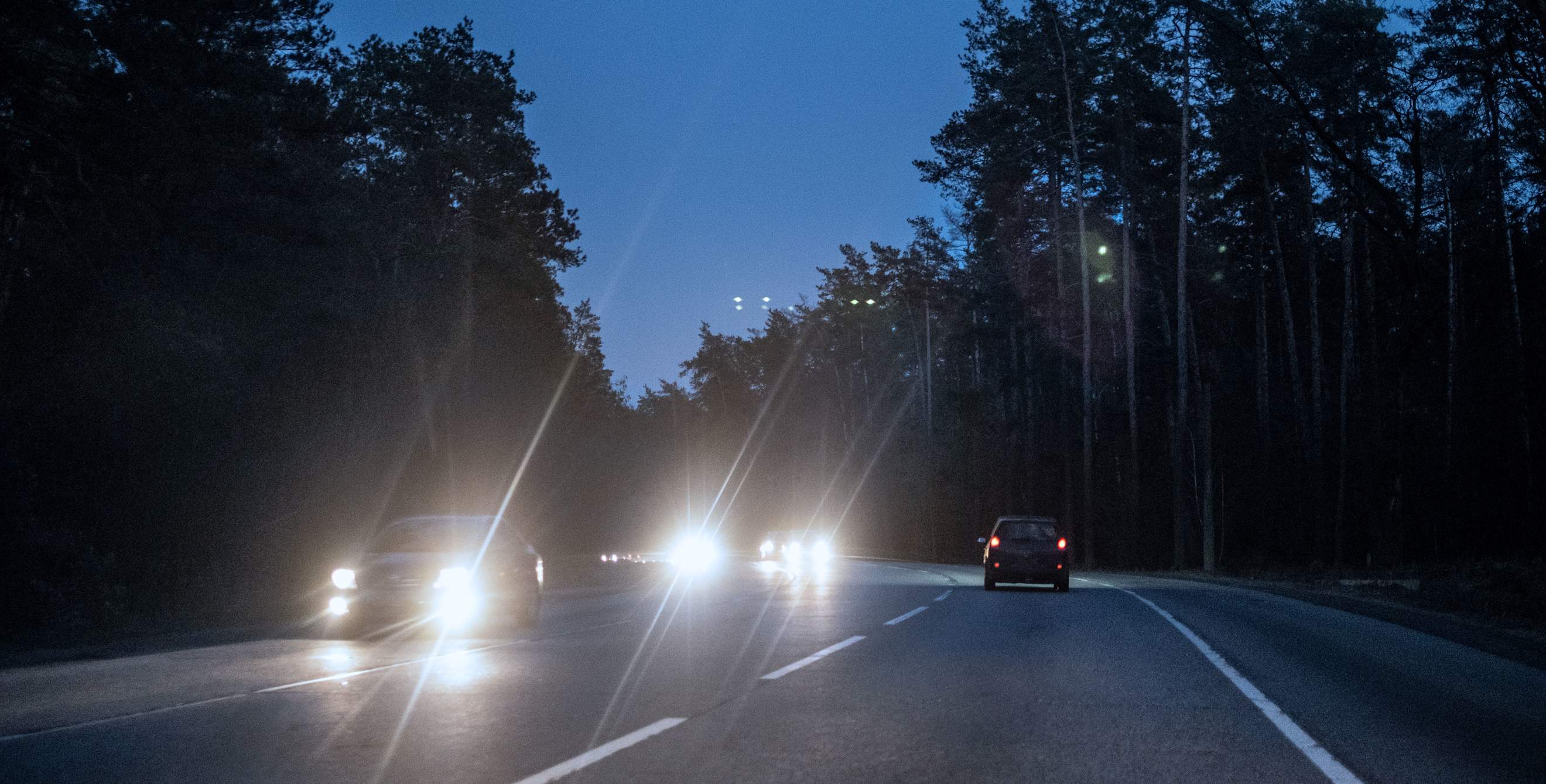Bright headlights causing glare on a forest highway at night. 