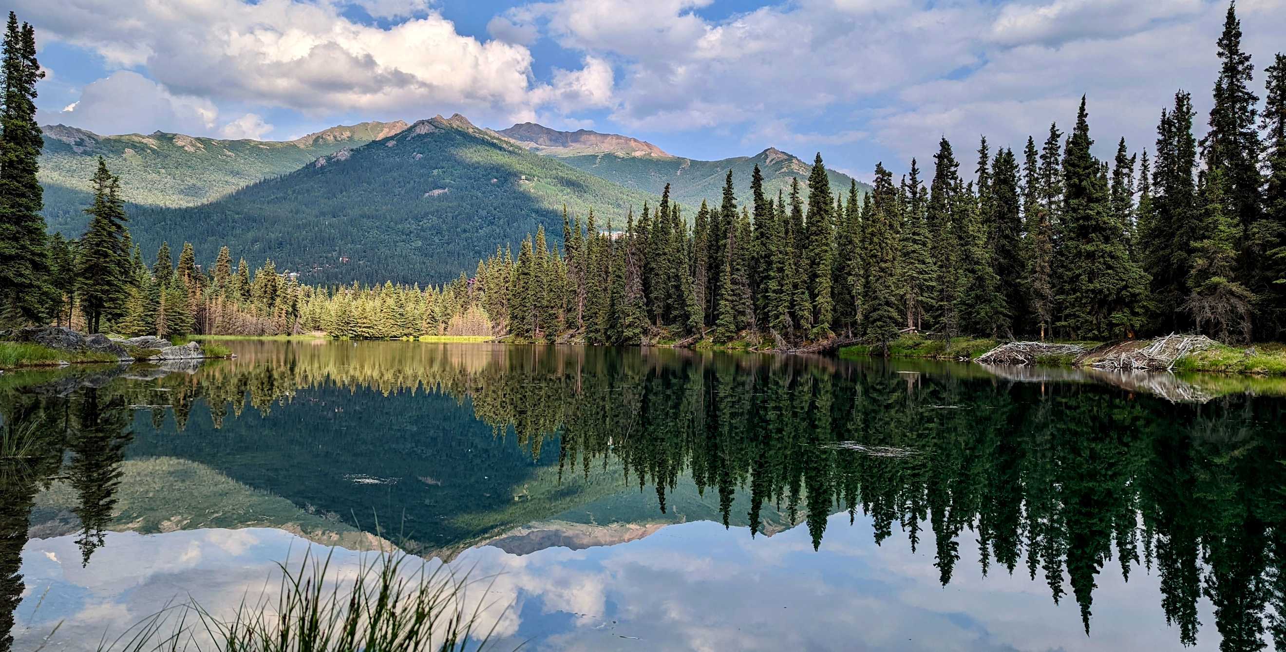 Horseshoe Lake Trail overlooking the mountain, Denali, Alaska