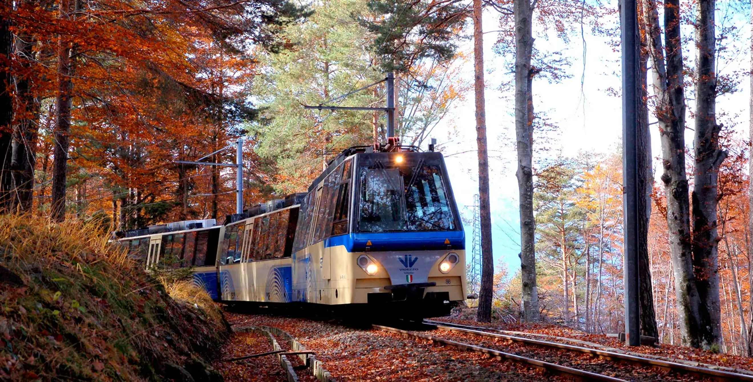 A train on the Vigezzina–Centovalli Railway goes through a stand of trees with red leaves.