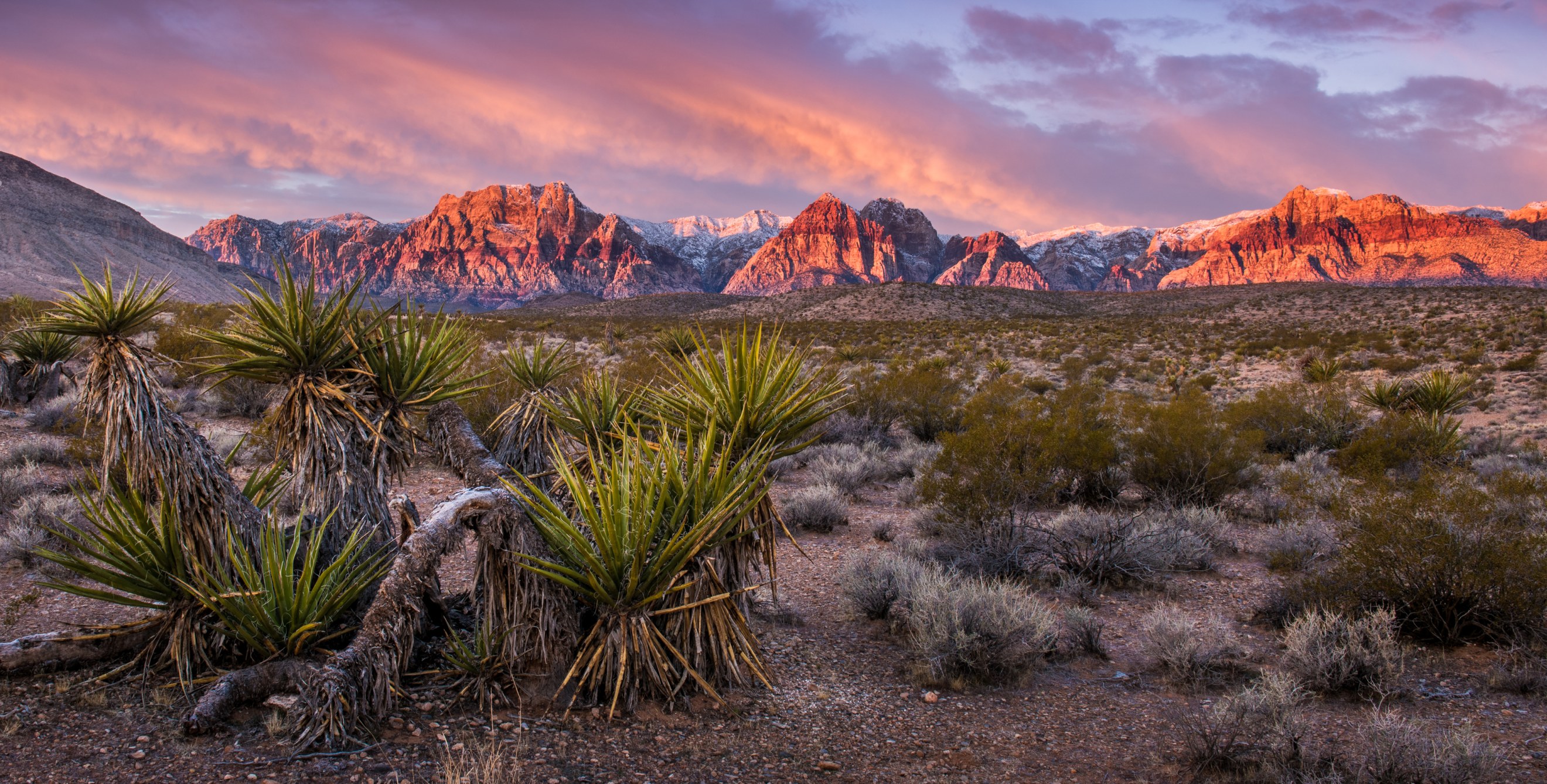 Sunrise lights up the rocks in Red Rock Canyon in Nevada on a winter morning.
