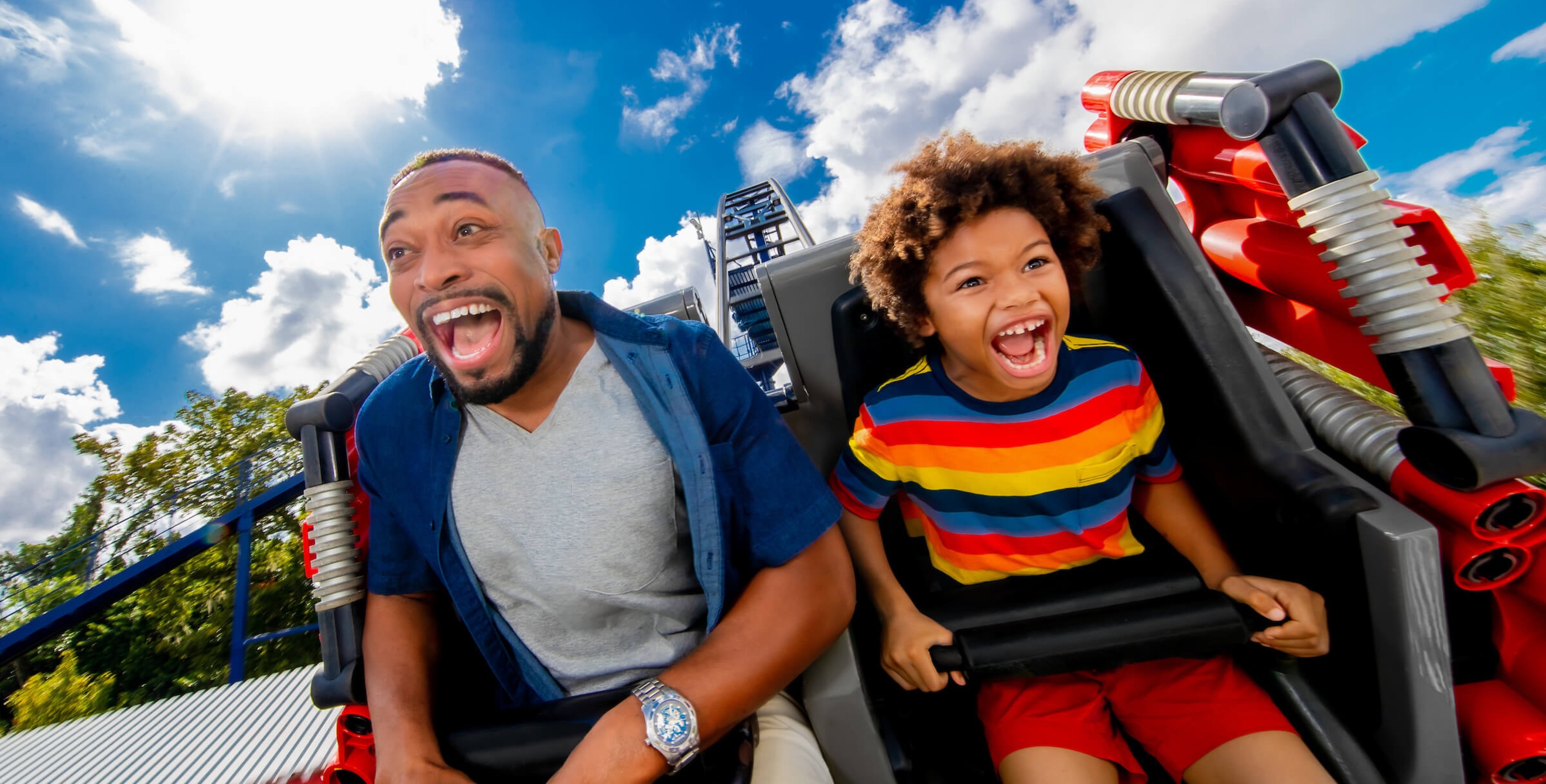 roller coaster riders holding on tight at Legoland