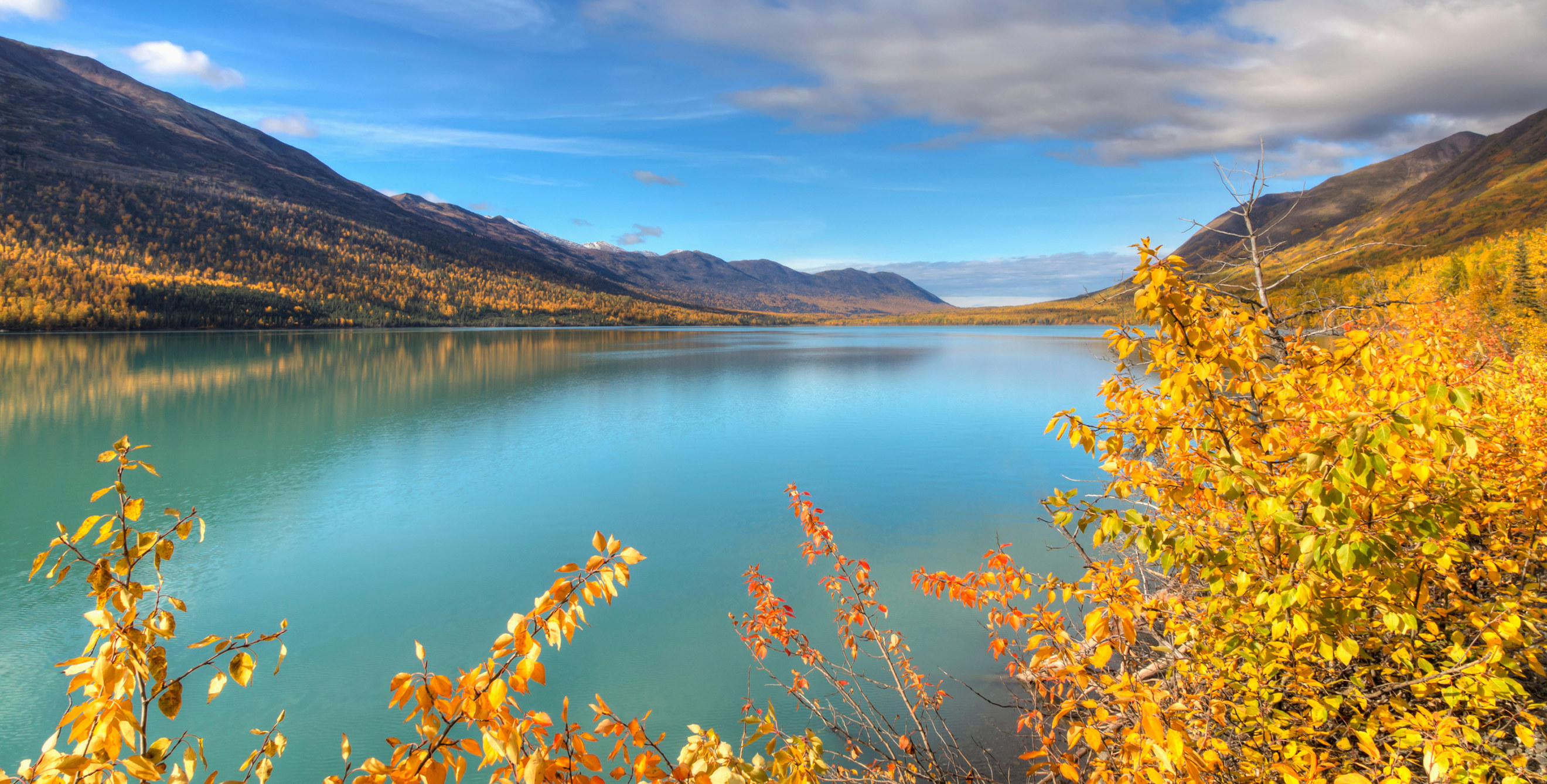 Fall foliage along Eklutna Lake in Chugach State Park in Southcentral Alaska.