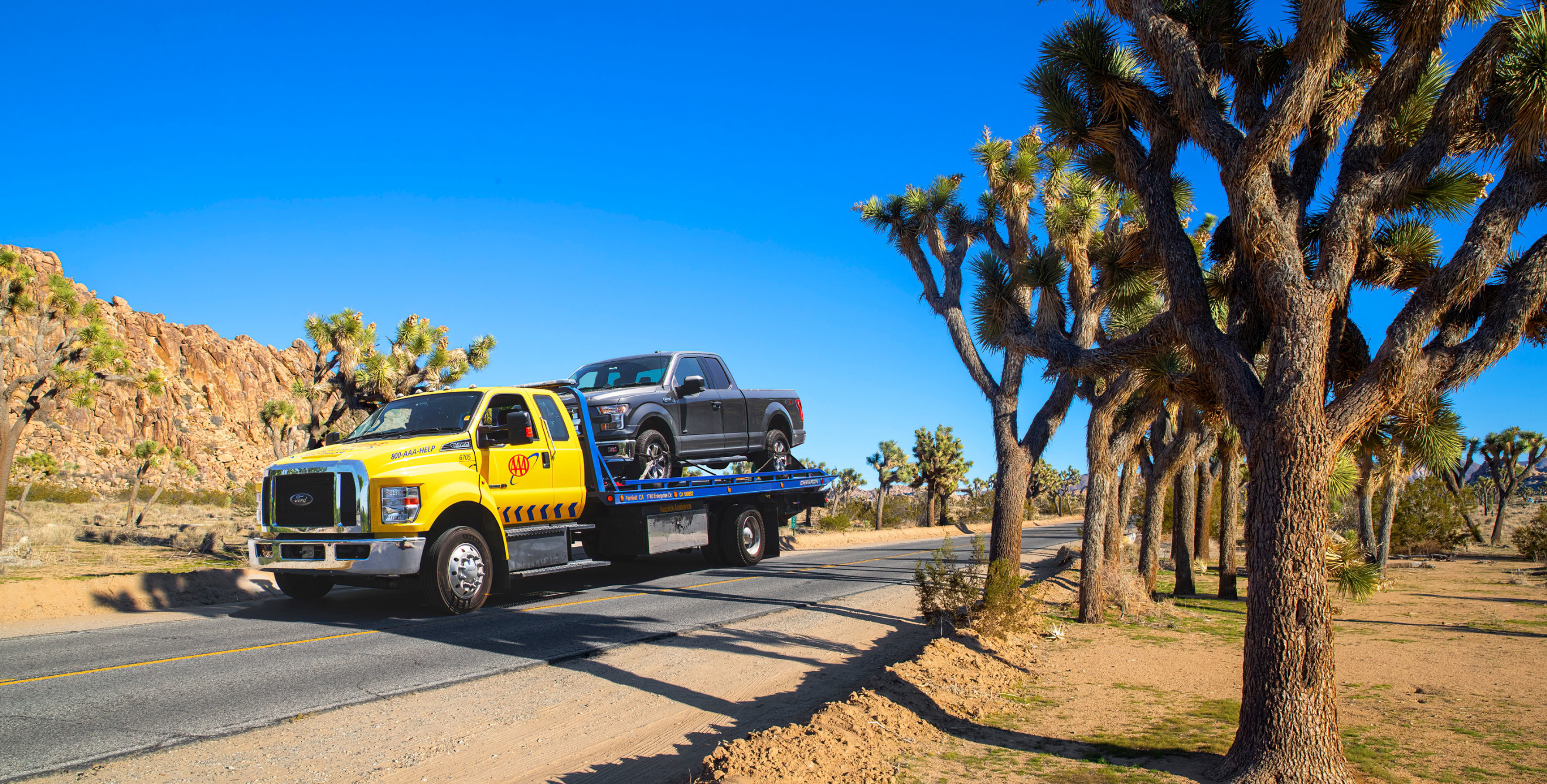 A AAA tow truck drives through Joshua Tree with a pickup on the back.