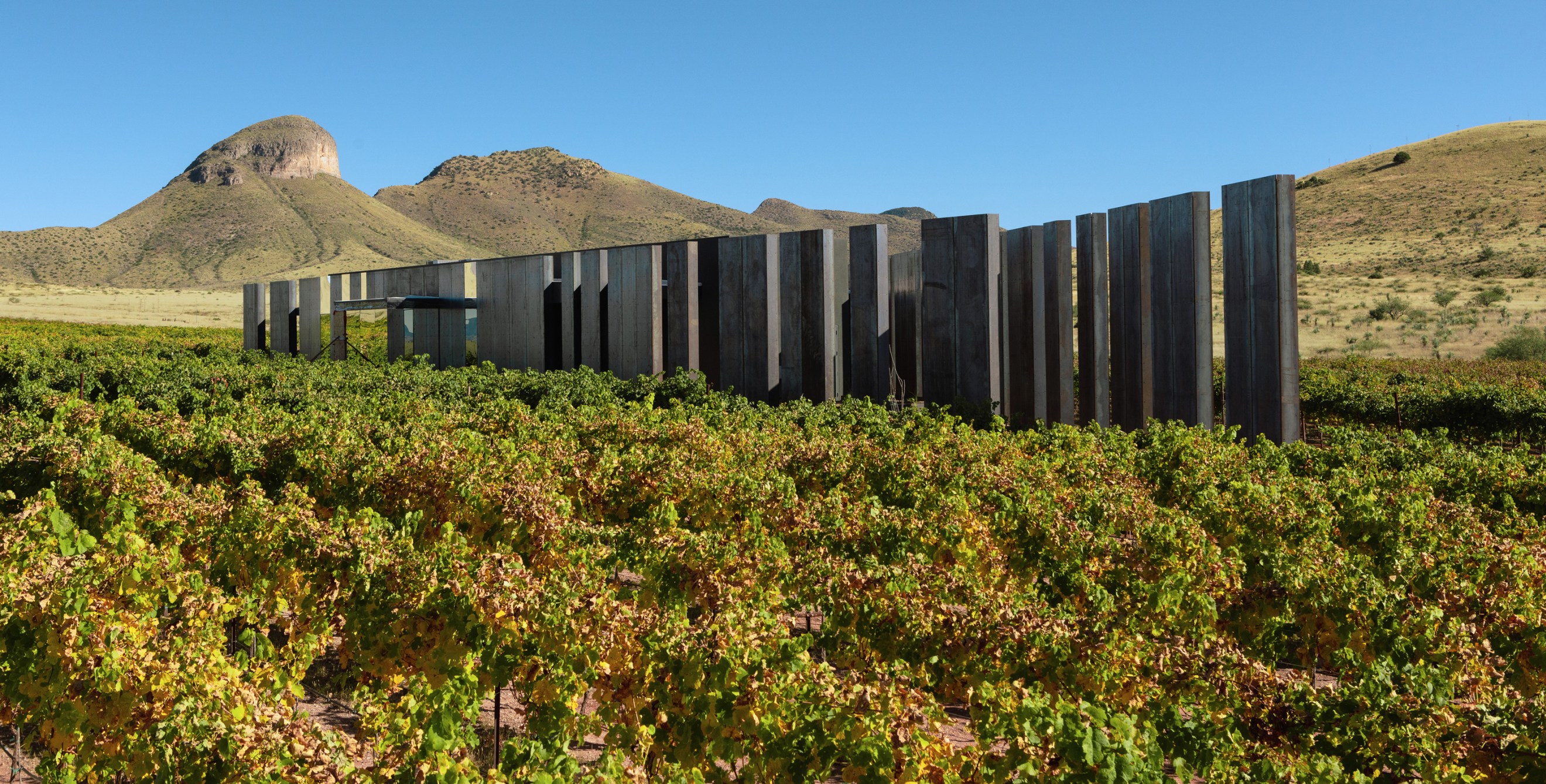 Modern exterior of the Los Milics Vineyard tasting room in Sonoita, Arizona.