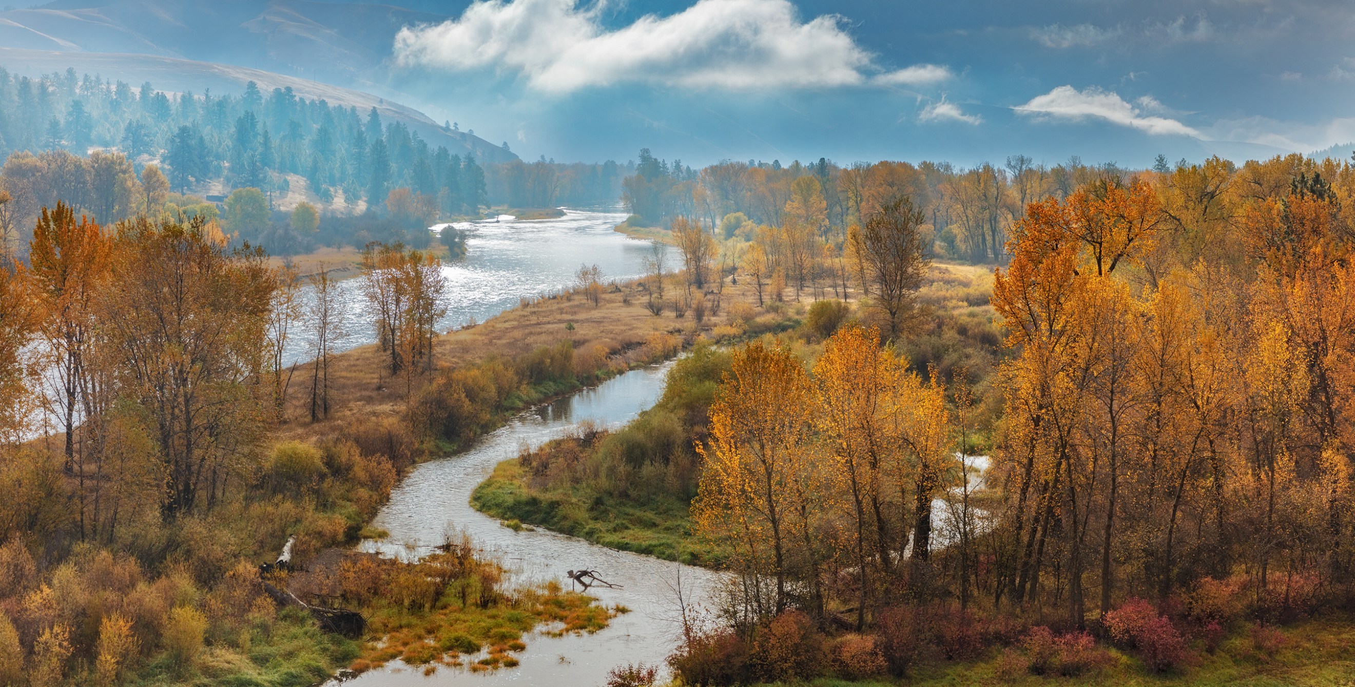 Autumn leaves line the Bitterroot River outside of Missoula, Montana.