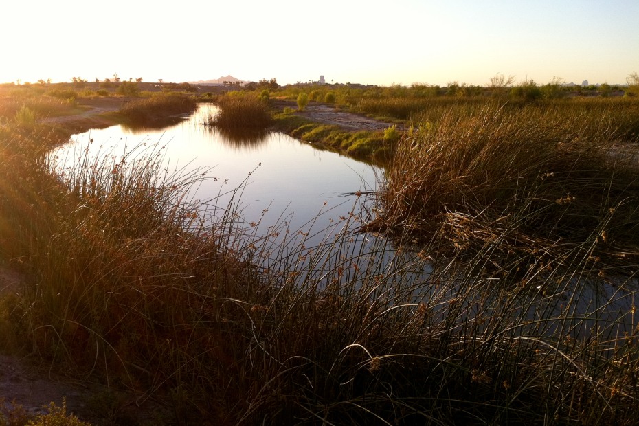 Views from the East Wetlands Interpretive Trail in Yuma, Arizona.