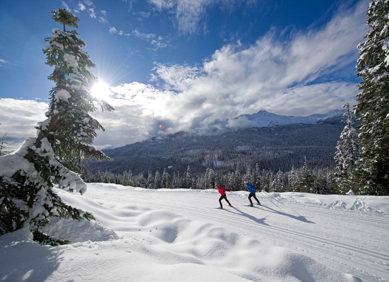 pair of cross-country skiers on trail at Whistler Olympic Park, picture