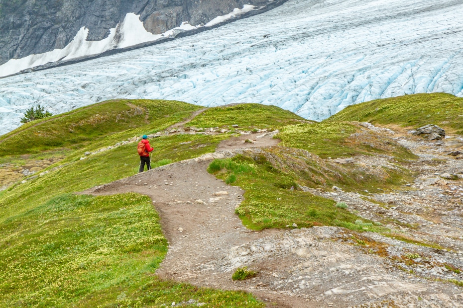 A hiker walks toward Alaska's Exit Glacier, image