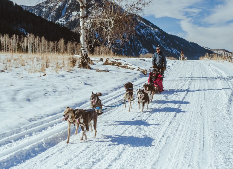 A dog sled races across the snow outside Park City Utah, picture