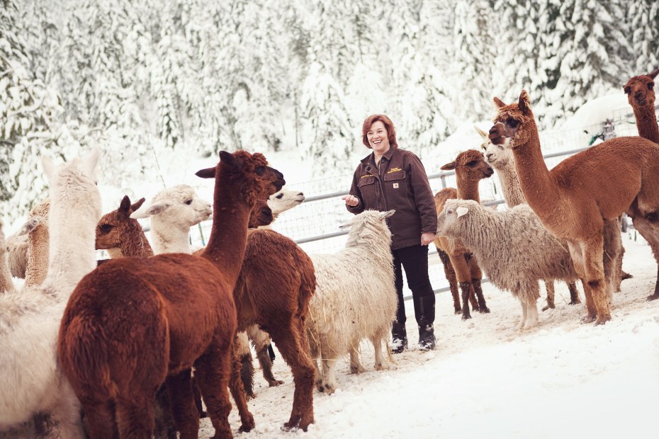photo of a woman surrounded by alpacas in the snow