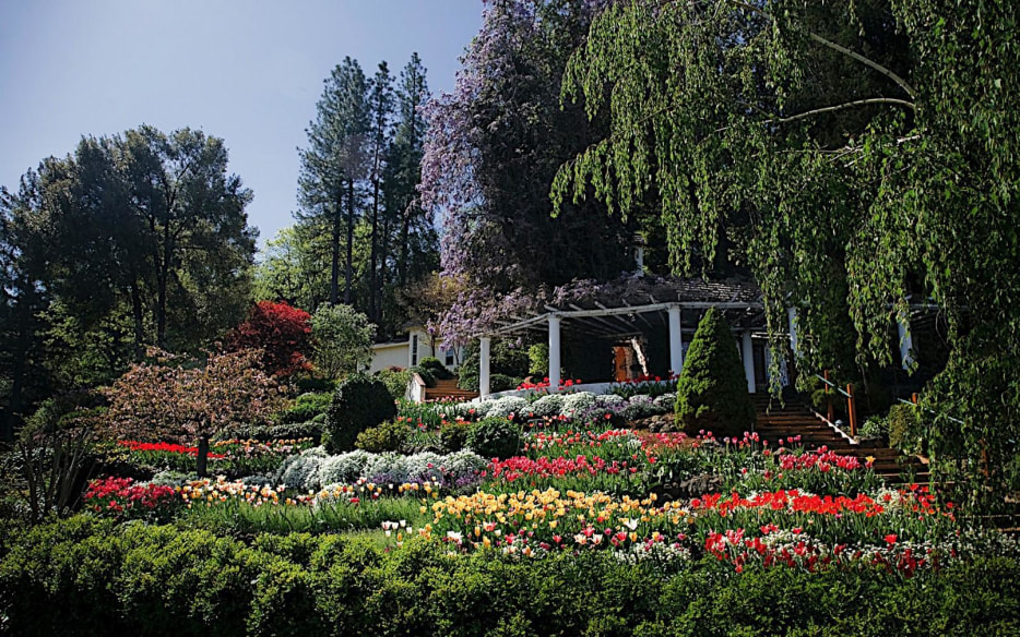the landscape in bloom at Crystal Hermitage Gardens, Nevada City, California, picture