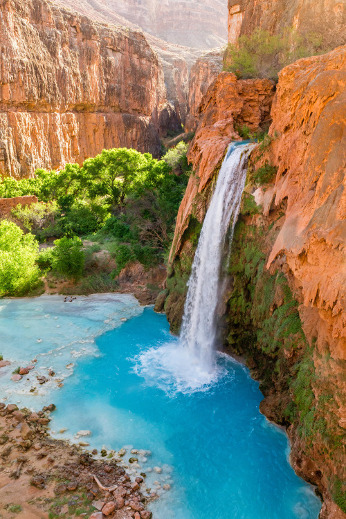 Havasu Falls in Supai, Arizona, picture