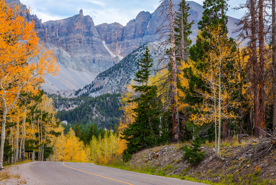 Wheeler Peak Scenic Drive in Great Basin National Park, picture