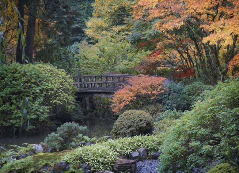 landscape with bridge over water and colorful foliage at the Portland Japanese Garden in Portland, Oregon, picture