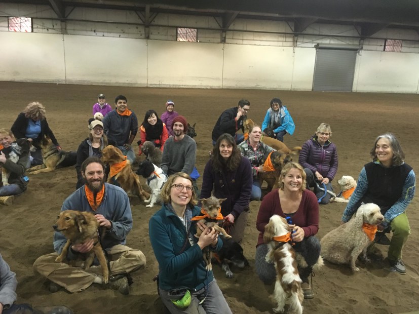 dogs and their owners at the the 2017 Joriad North American Truffle Dog Championship qualifying round, picture
