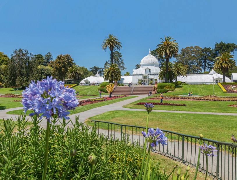 gleaming white Conservatory of Flowers exterior in Golden Gate Park, San Francisco