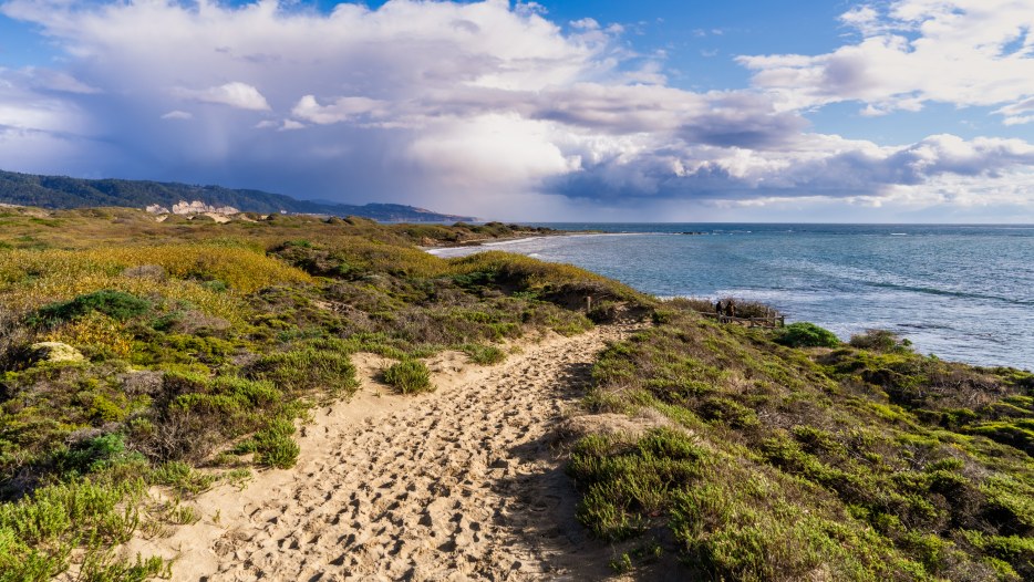 Footpath on the sand dunes of Ano Nuevo State Park; storm clouds visible in the background; Pacific Ocean Coastline, California, photo