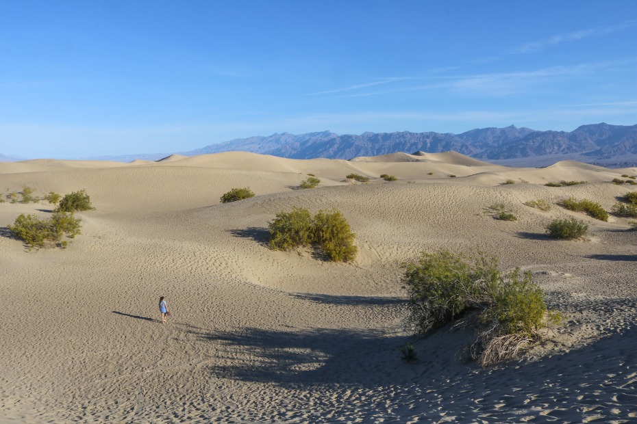 Death Valley's Mesquite Flat Sand Dunes with blue skies in the background, picture
