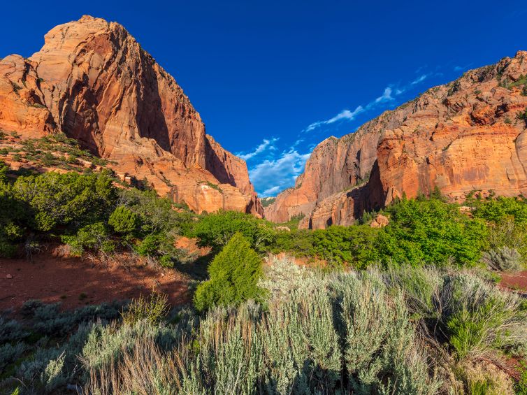 Kolob Canyons in Zion National Park, image