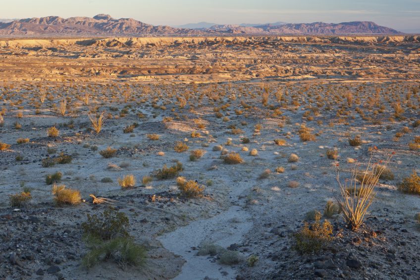 Juan Bautista de Anza National Historic Trail, image