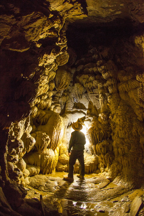 park ranger faces cavern light at Paradise Lost dome pit at the Oregon Caves National Monument & Preserve in Cave Junction, Oregon, picture