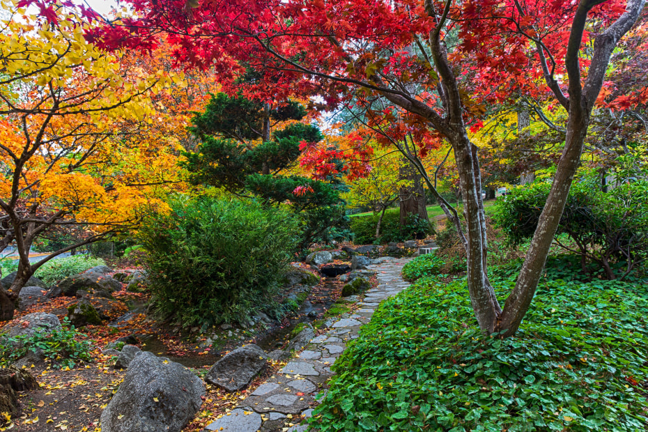 Fall in Lithia Park Japanese Garden, Ashland, Oregon, picture