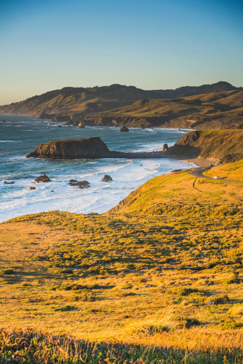 Goat Rock along the Sonoma Coast, picture