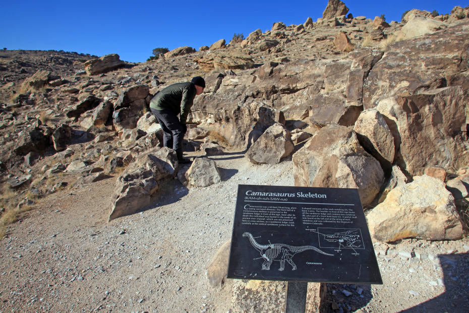 plaque showing Camarasaurus dinosaur fossil amid rocks at Mygott-Moore Quarry in Colorado, photo