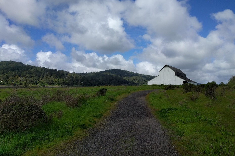 an original white barn stands out along the Giacomini Wetlands trail in West Marin, California, picture