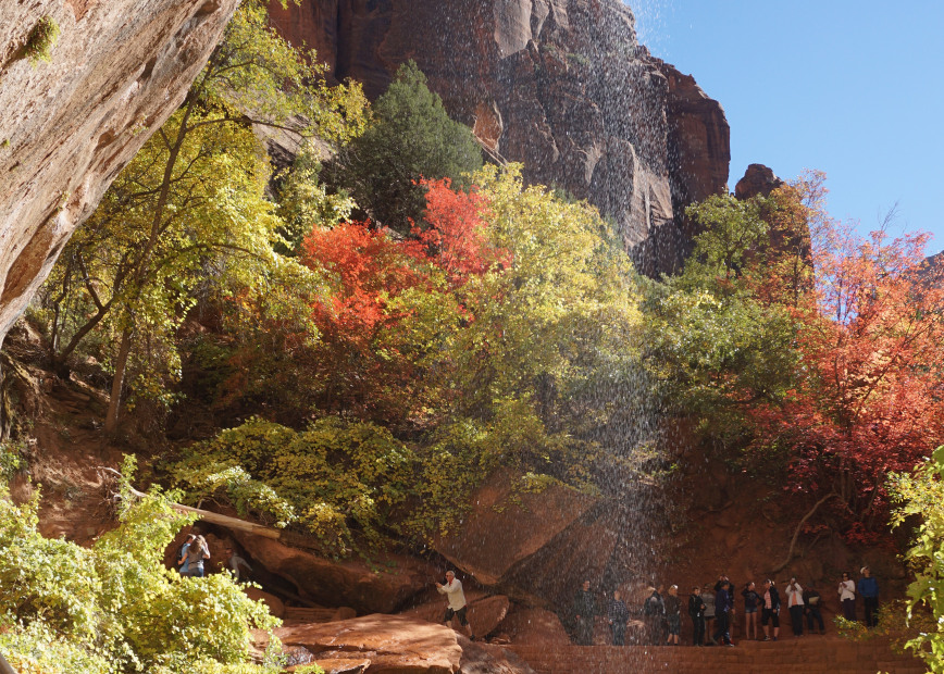 fall colors along the Emerald Pools Trial at Zion National Park, picture