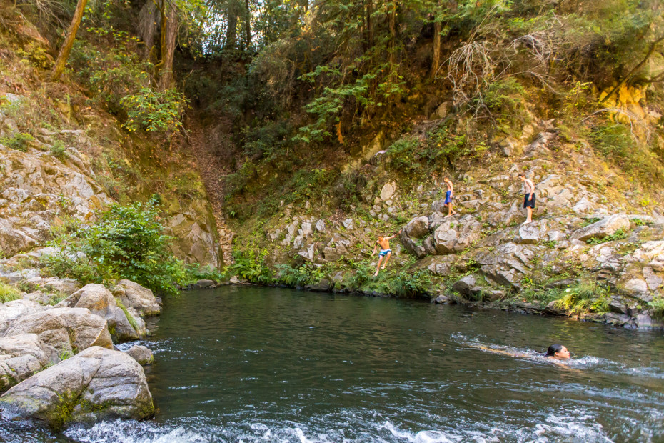the swimming hole at henry cowell redwoods state park, picture