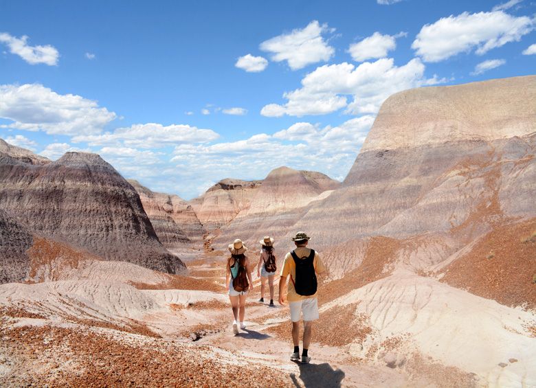 hikers on the Blue Forest Trail in Petrified Forest National Park, Arizona, image