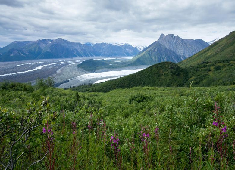 Glaciers at Wrangell–St. Elias National Park and Preserve, image