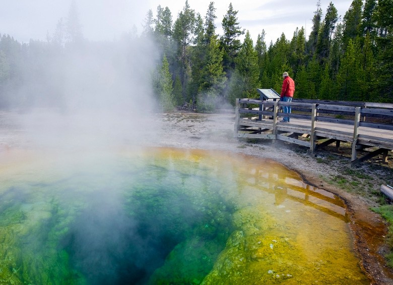 Man views placard in front of Morning Glory Pool in Yellowstone National Park, photo