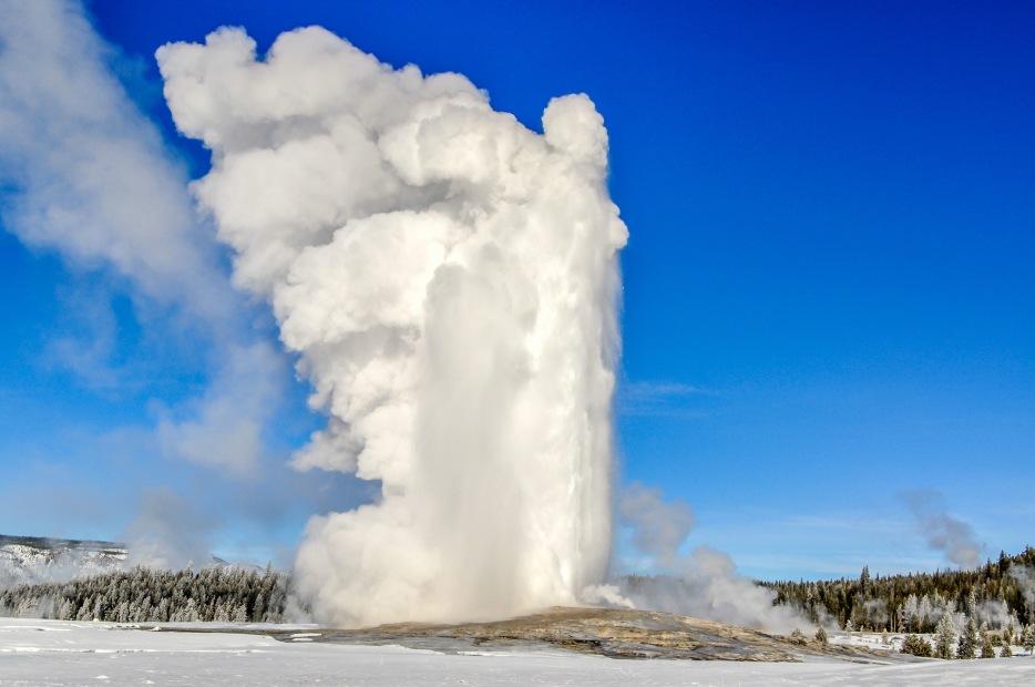 old faithful geyser erupts against a bright blue sky at yellowstone national park