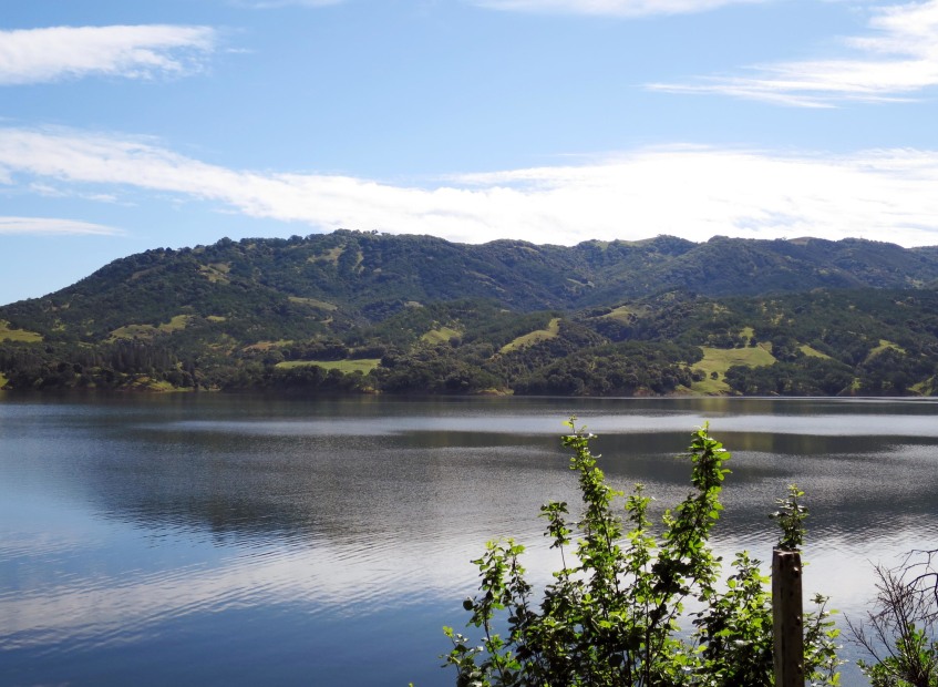 a view of lake mendocino with hills near ukiah, picture