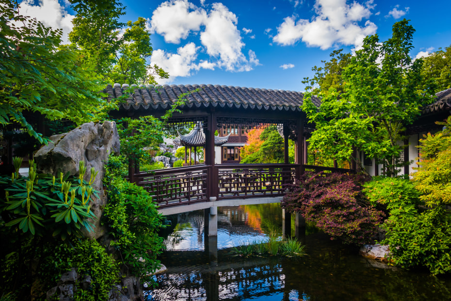 garden pond with covered bridge at Lan Su Chinese Garden in Portland, Oregon, picture