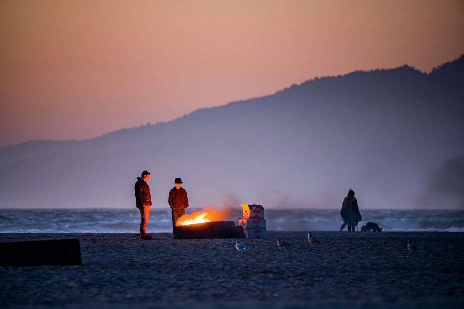 three people and shorebirds by bonfire at dusk on Ocean Beach, San Francisco, picture