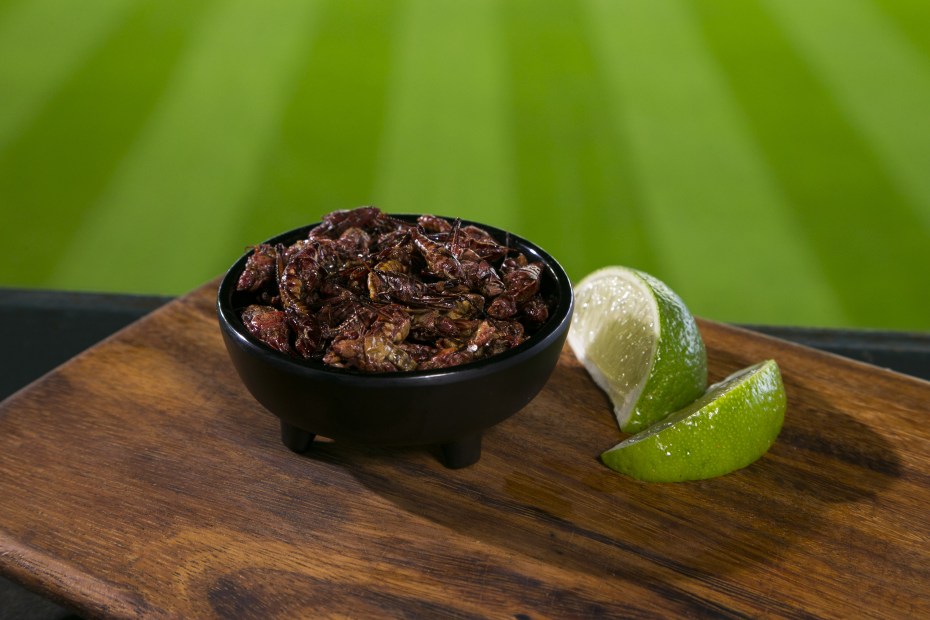 Seattle Mariners’ Safeco Field in Washington, Oaxacan chapulines, Mexican grasshoppers, picture