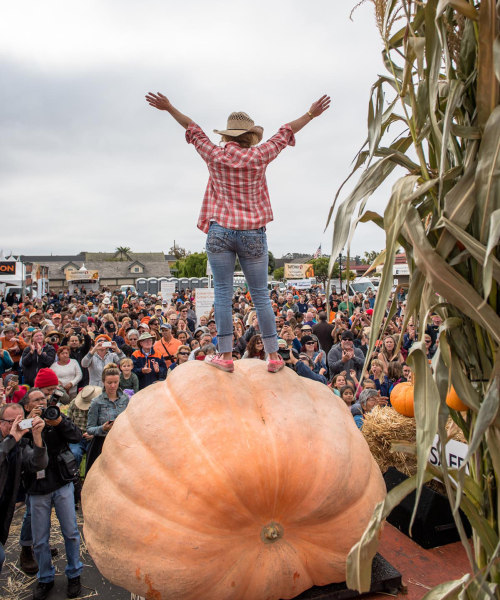 Half Moon Bay Pumpkin Festival 2016 winner Cindy Tobeck on her 1,910 lb. gourd, picture