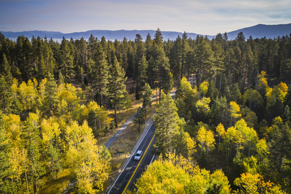 aspens line Highway 89 near the southwest shore at Lake Tahoe, picture