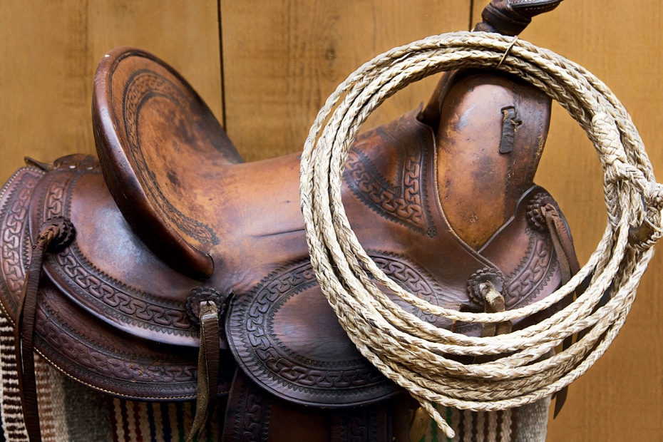 Western saddle with lasso on display at J.M. Capriola in Elko, Nevada, picture
